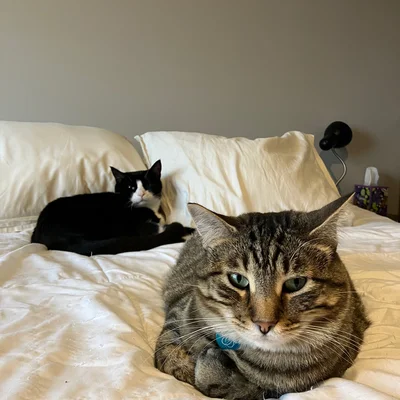 Xena & Midna